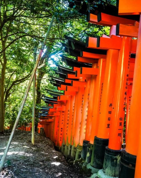 Madeline Matis tweet media