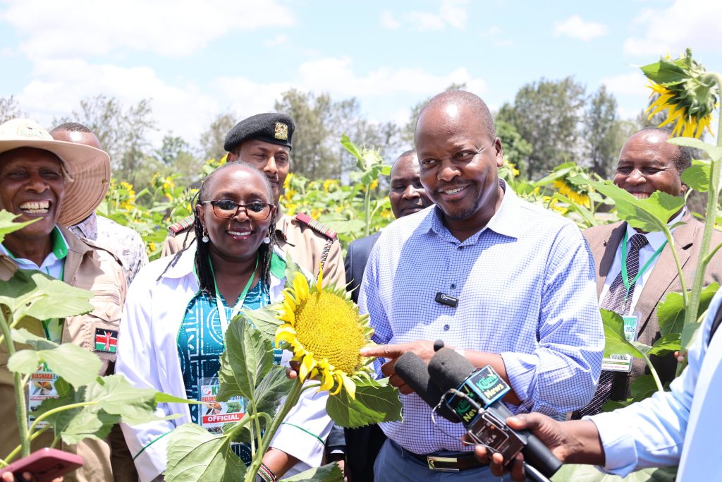 HortfreshKE's tweet photo. Cs  Kagwe launches sunflower–soybean drive to cut Kenya’s edible oil imports. The initiative was launched during the Kilimo Biashara Expo 2026 held at KALRO Seeds headquarters in Thika, where stakeholders from across the agricultural value chain convened to explore solutions. https://t.co/ikAbg8NDRK