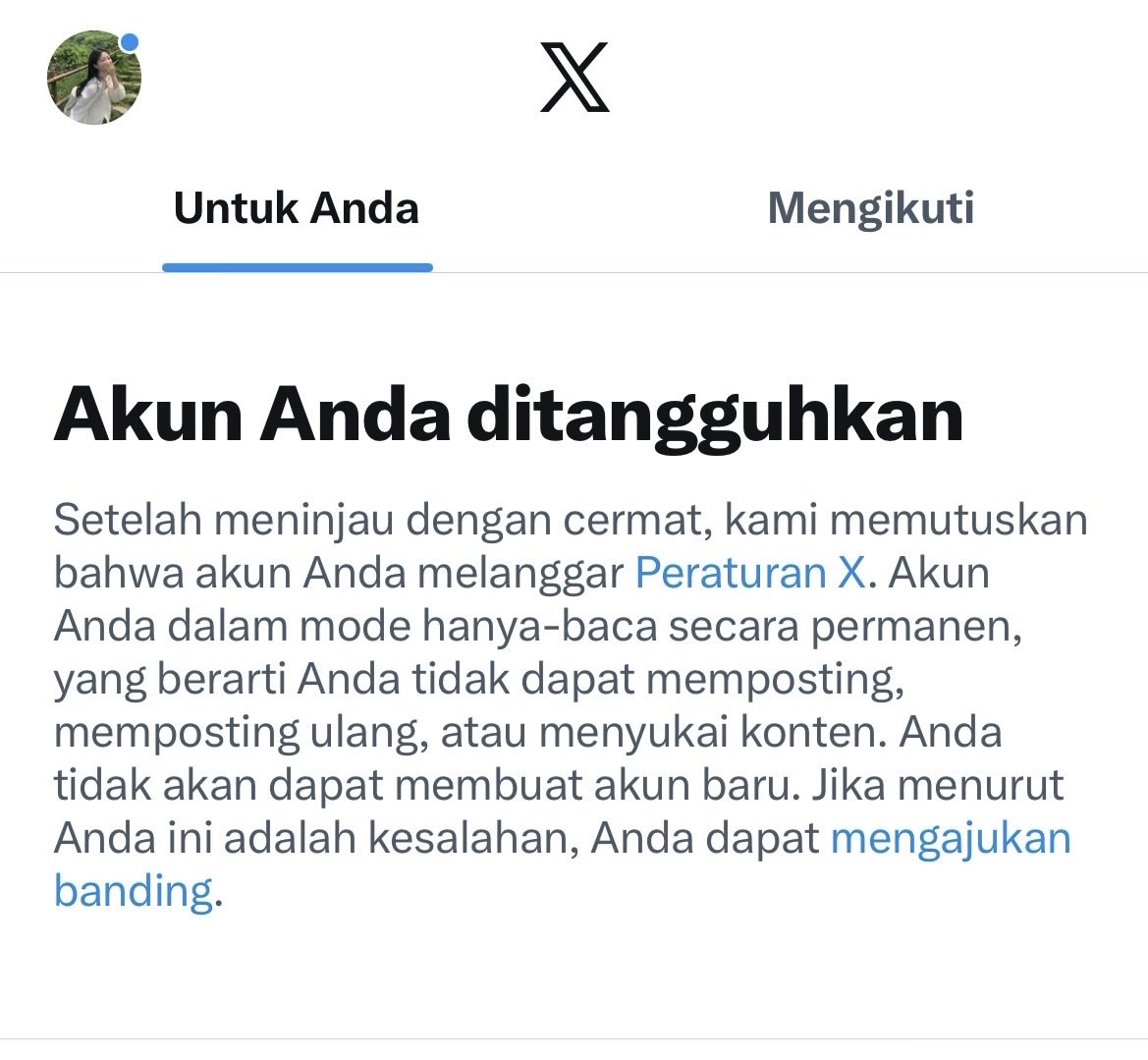 jual jipiti murah tweet media