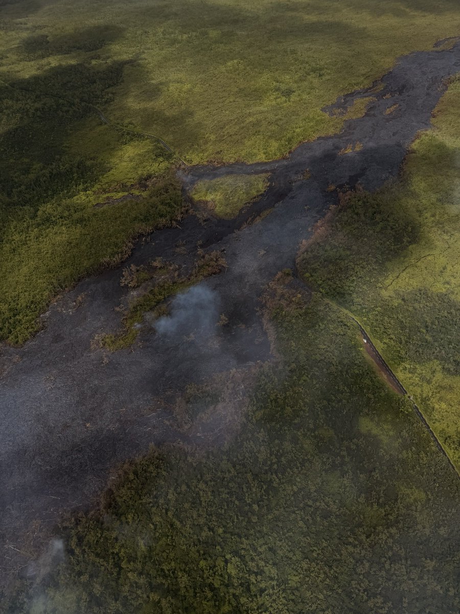 𝐓𝐨𝐧𝐲 tweet media