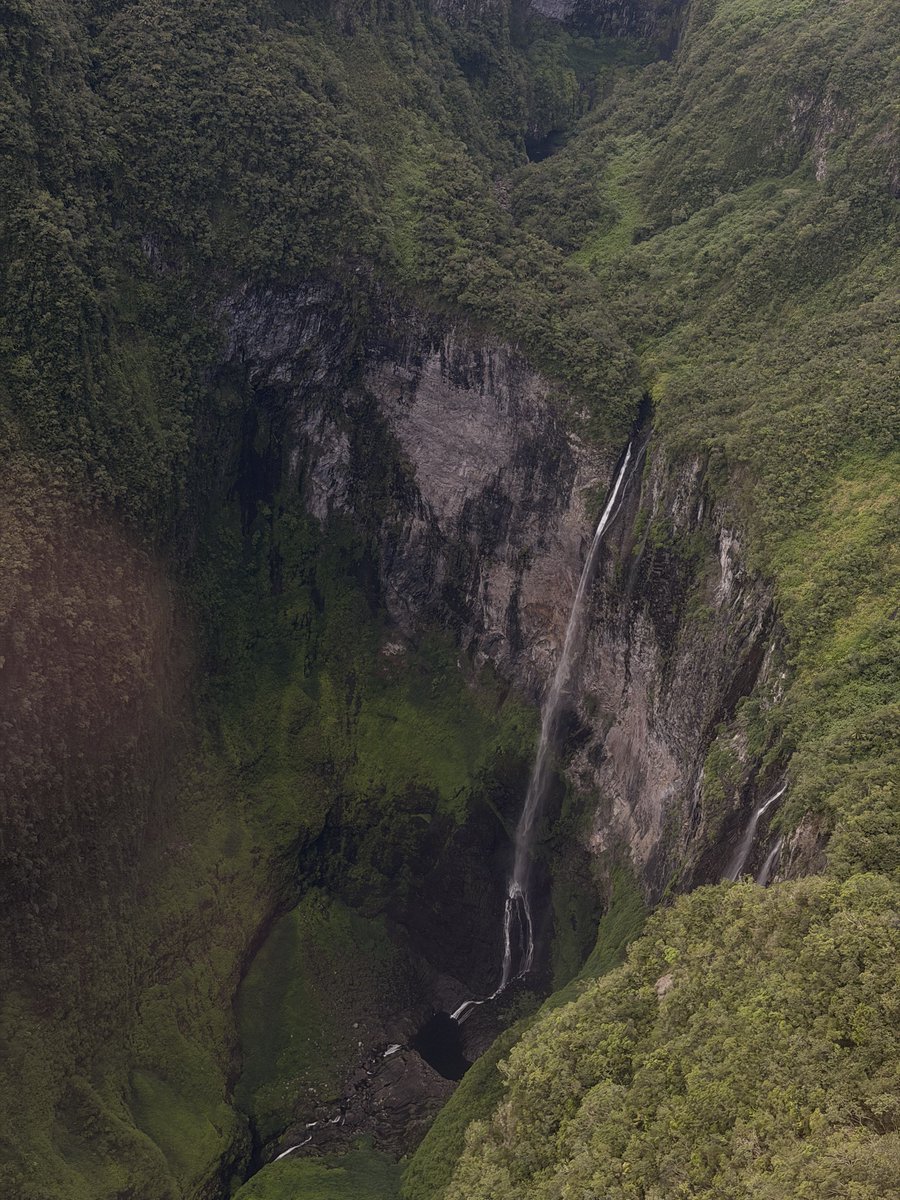 𝐓𝐨𝐧𝐲 tweet media