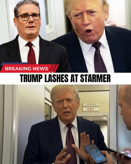 Make Europe Great Again - M.E.G.A tweet media