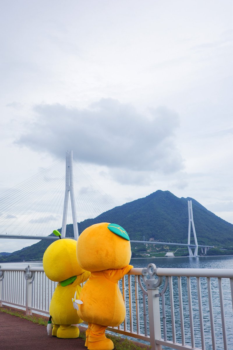 みきゃん【公式】《愛媛県イメージアップキャラクター》 tweet media