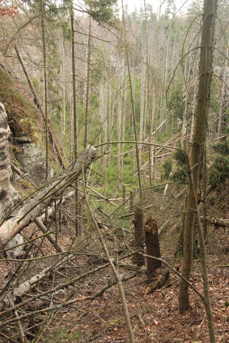 Jan (Honza) Pergl tweet media