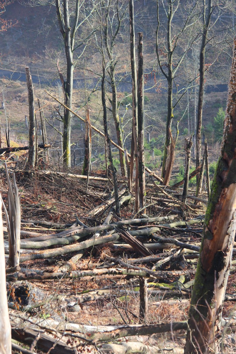 Jan (Honza) Pergl tweet media