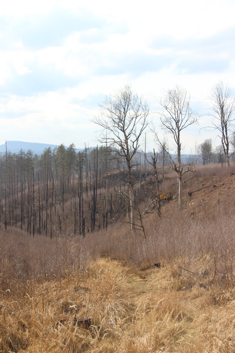 Jan (Honza) Pergl tweet media