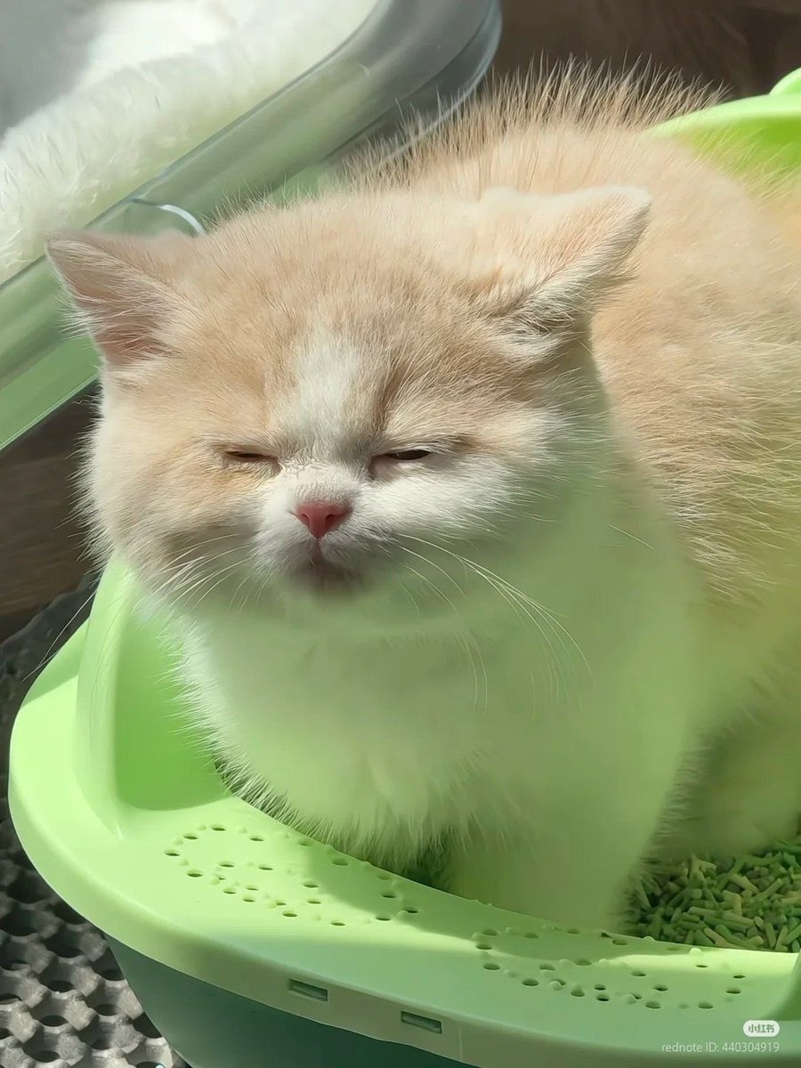 avgreplyguy tweet media