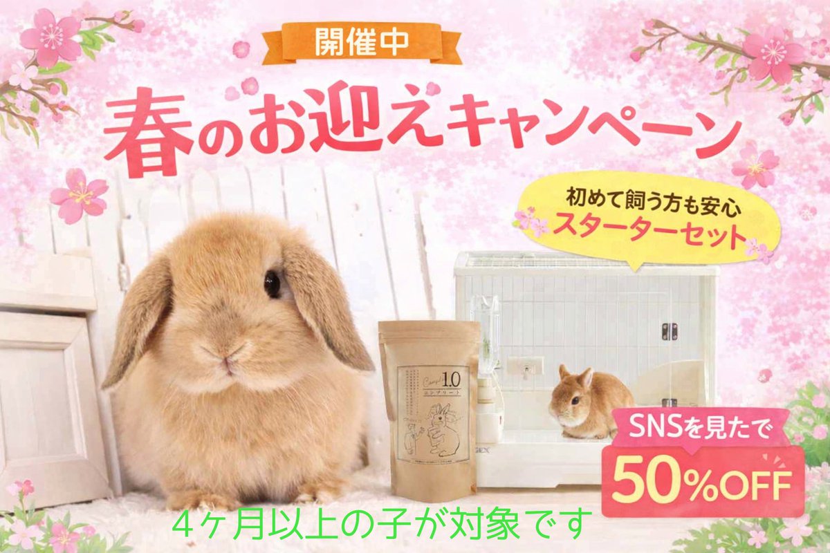 うさぎ専門店ラビットリンク tweet media
