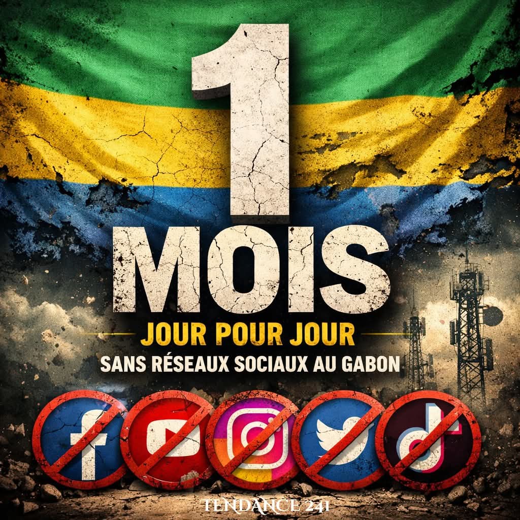 Tendance 241 tweet media