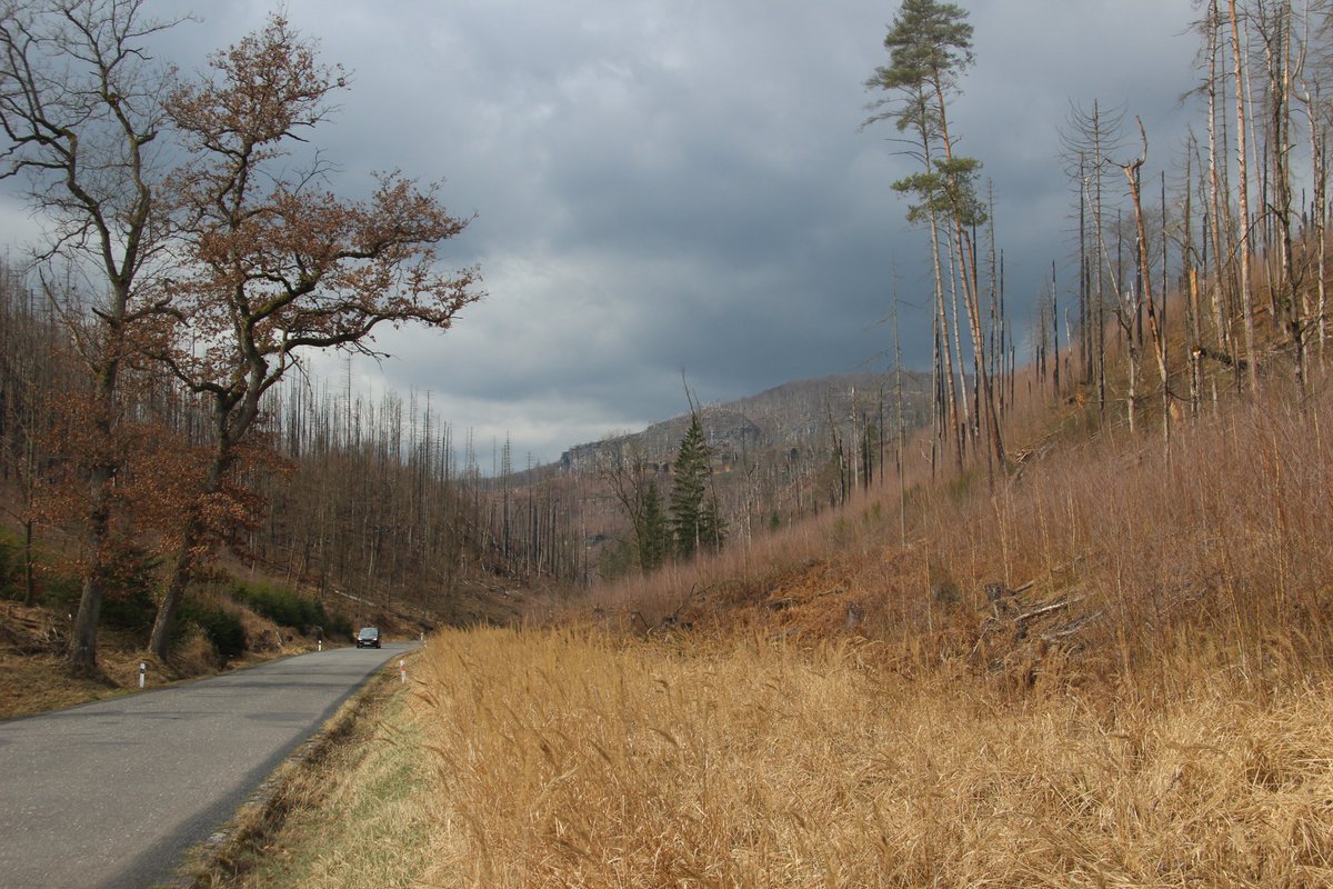 Jan (Honza) Pergl tweet media