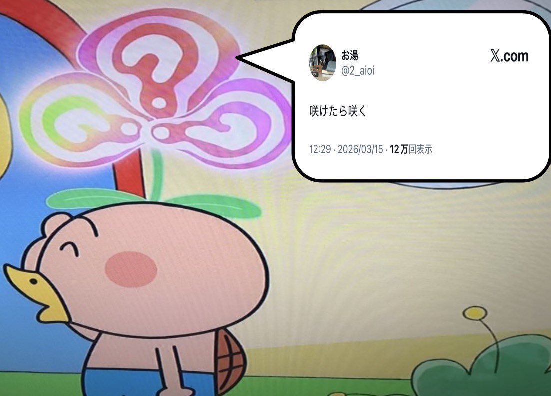 rif ᯓ⭒☾ tweet media