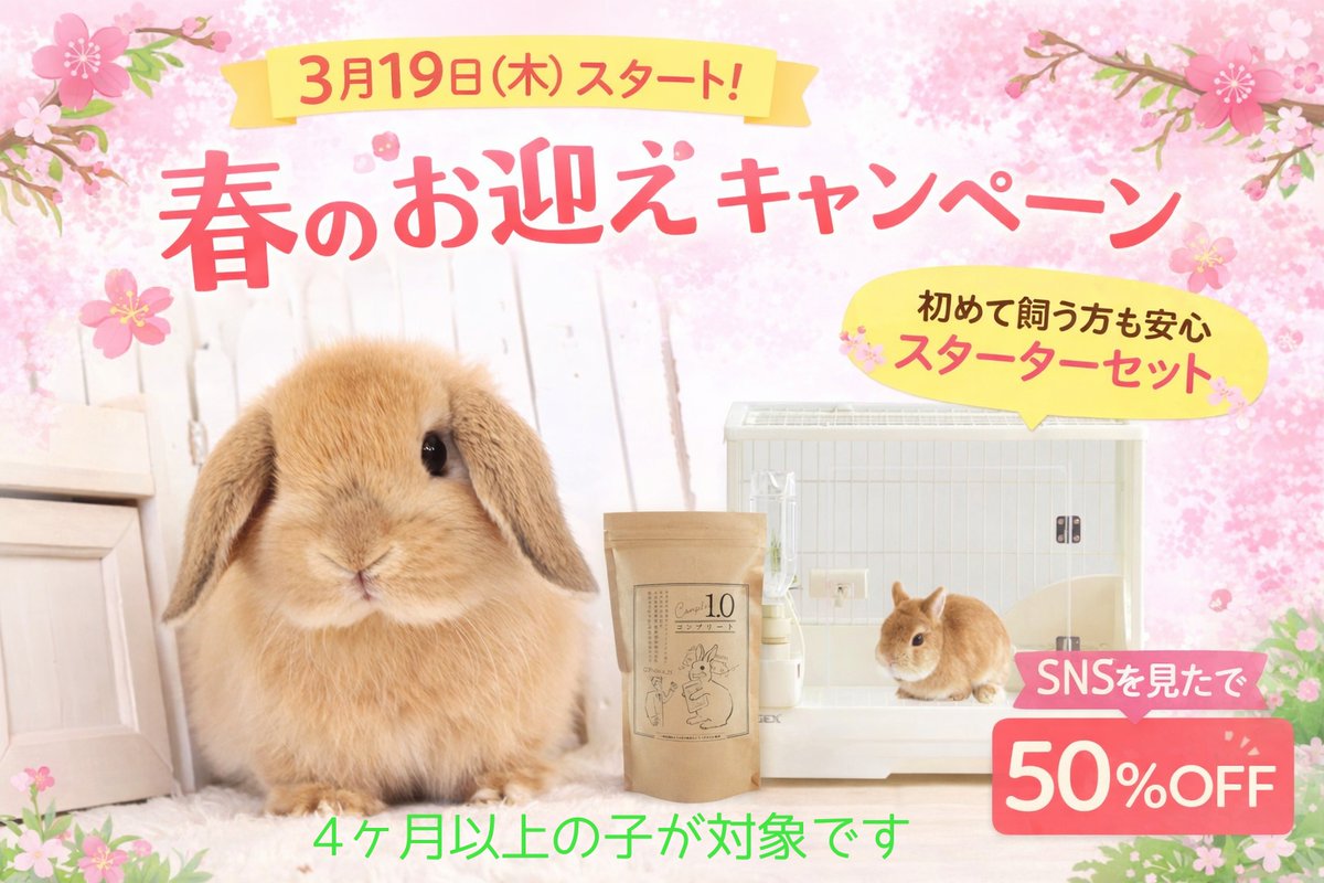 うさぎ専門店ラビットリンク tweet media