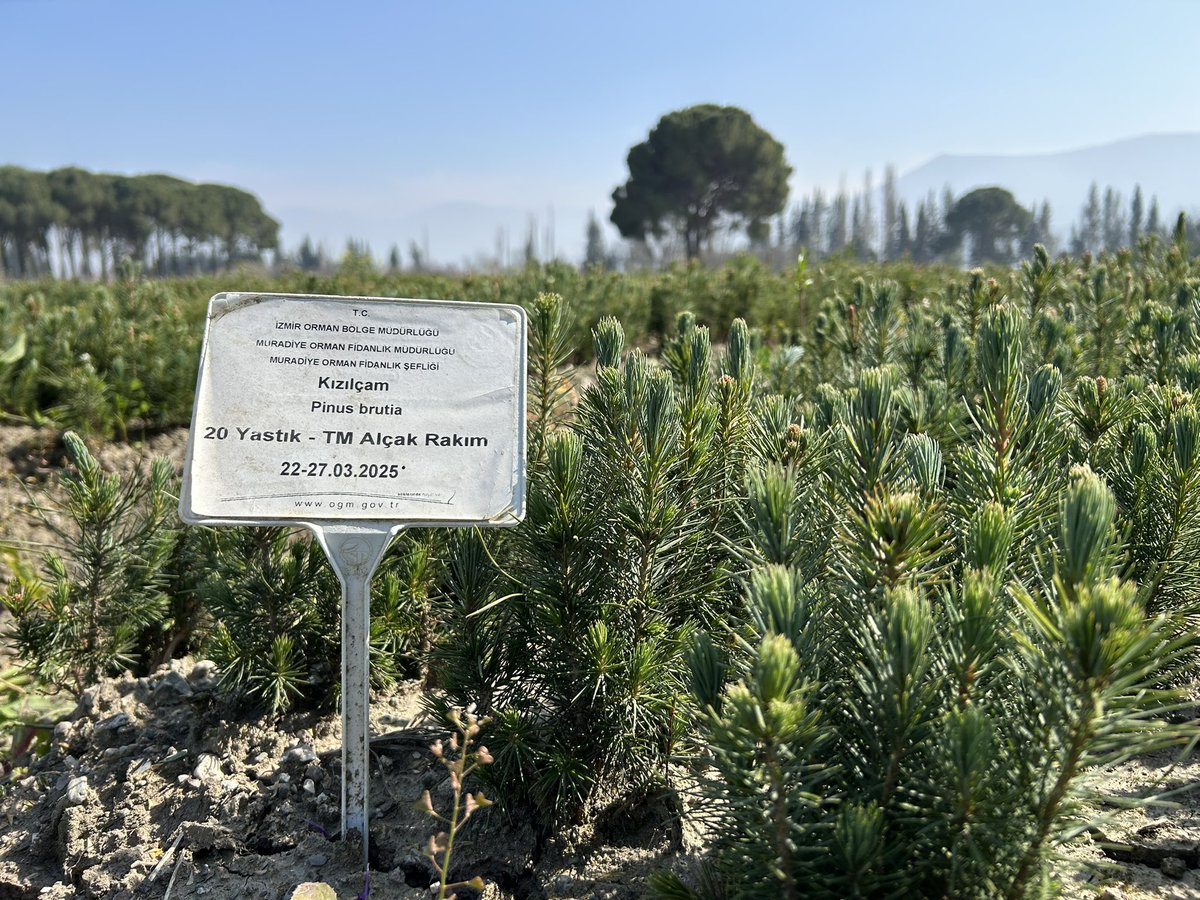 Orman Genel Müdürlüğü tweet media