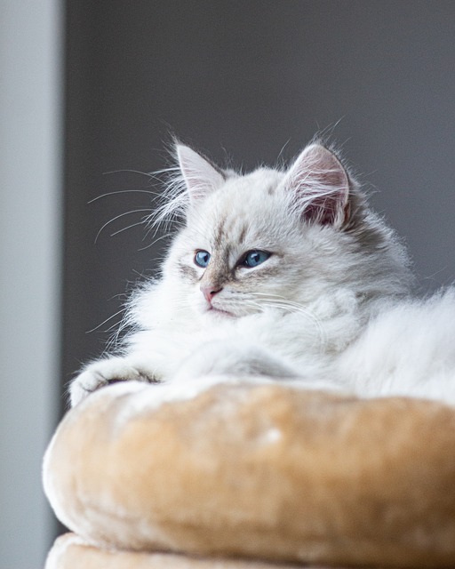 Amanda Robinson tweet media