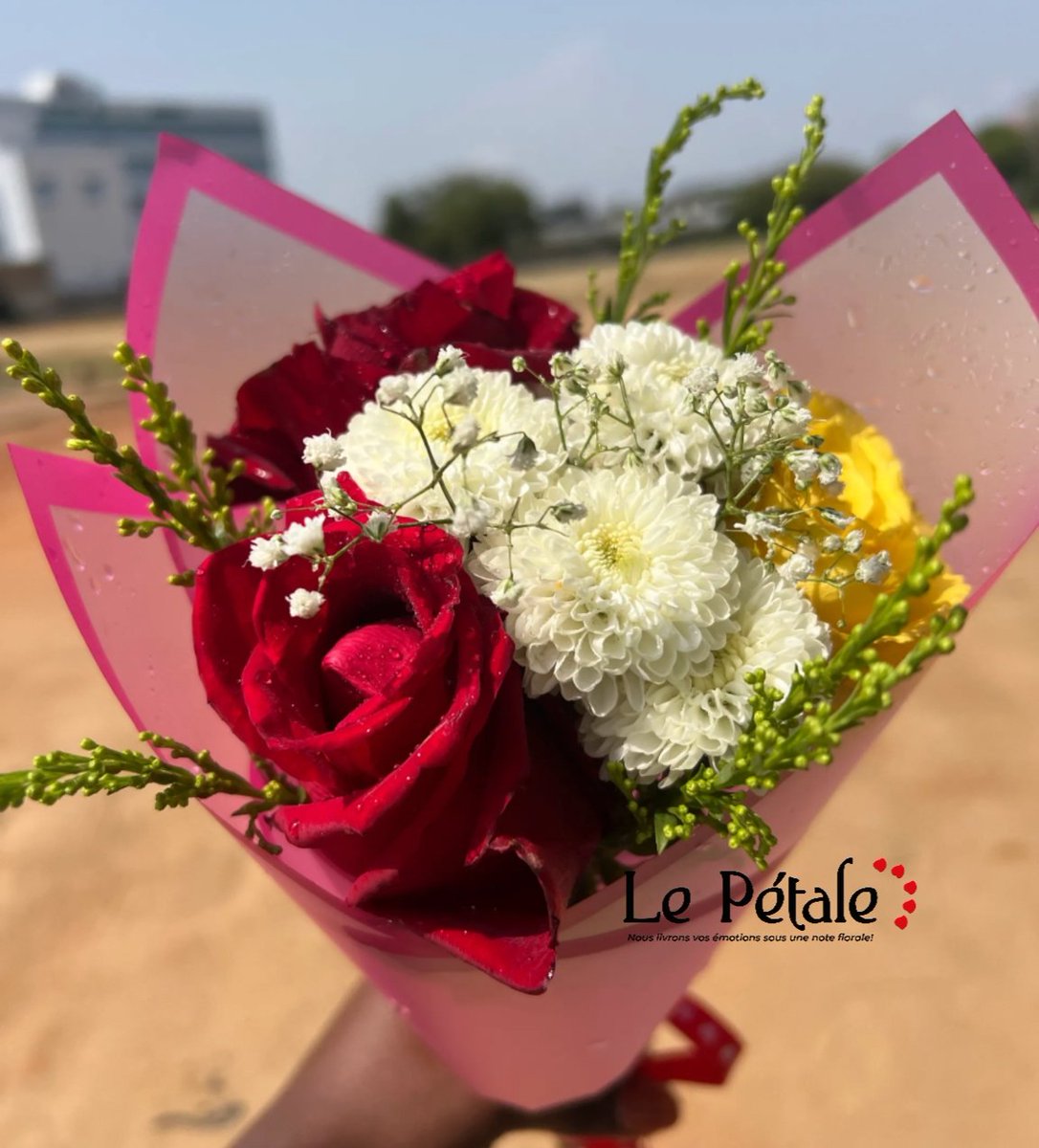 Le pétale🌹 tweet media