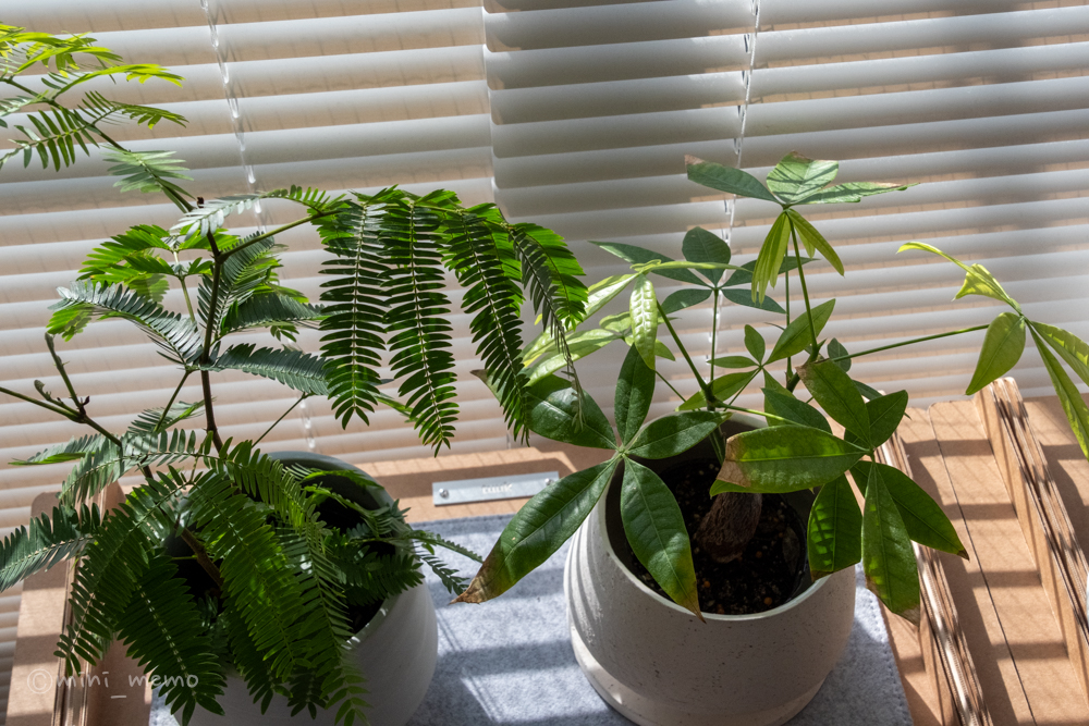 たついち| ミニメモ！ tweet media