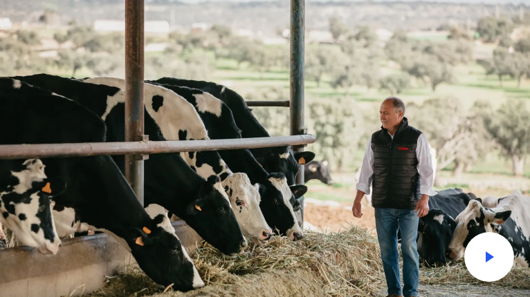 Cooperativas Agro-alimentarias de Andalucía tweet media