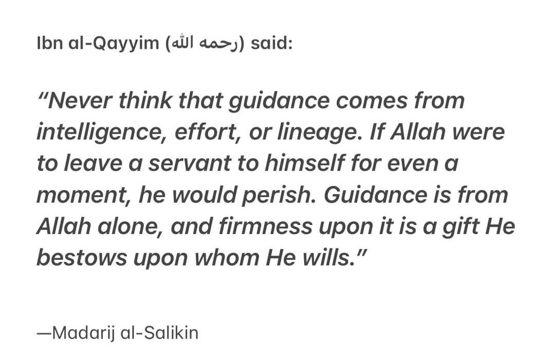 ثانيه (@saanyaww) on Twitter photo 