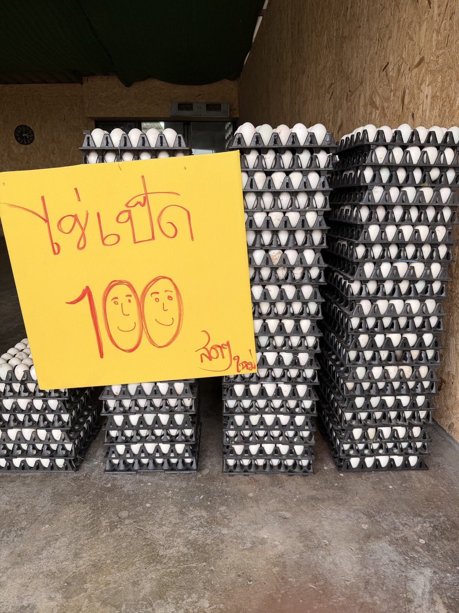 ไข่ไก่หน้าจะถาดละร้อยกว่าบาท ทำไมไข่เป็ดถึงถูกกว่า ต้นทุนการเลี้ยงถูกกว่าหรือเพราะเป็นที่นิยมน้อยกว่าเหรอ แต่ที่บ้านคือทานได้ทั้งไข่เป็ดและไข่ไก่นะ