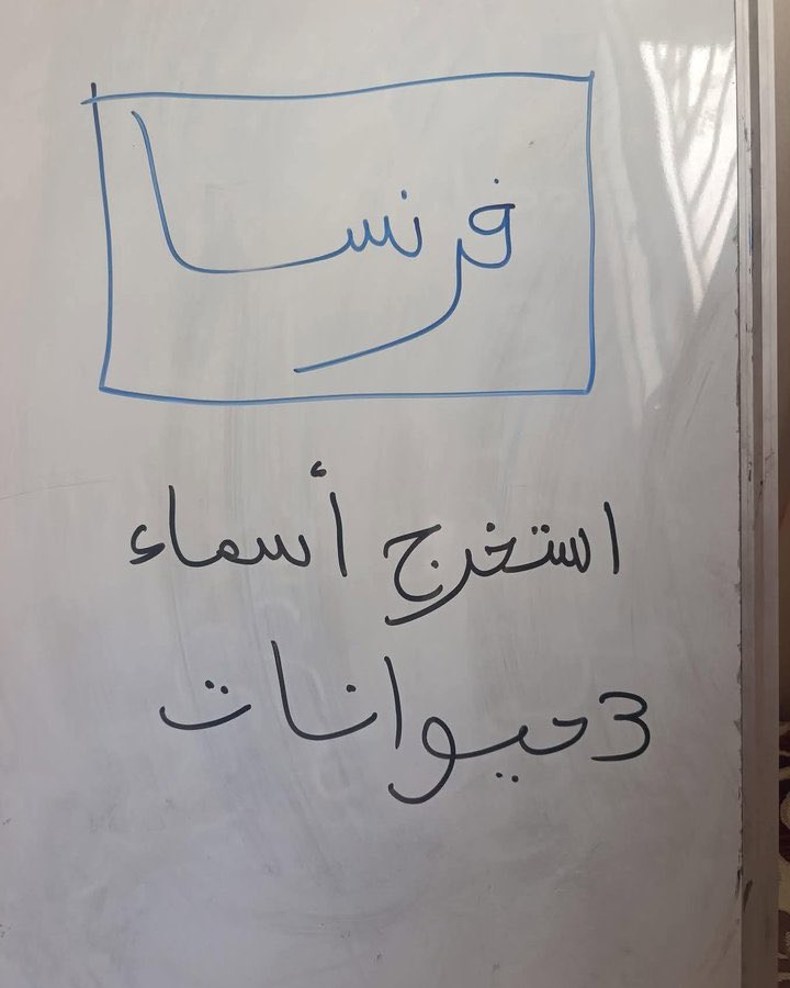النادرة ♡ tweet media