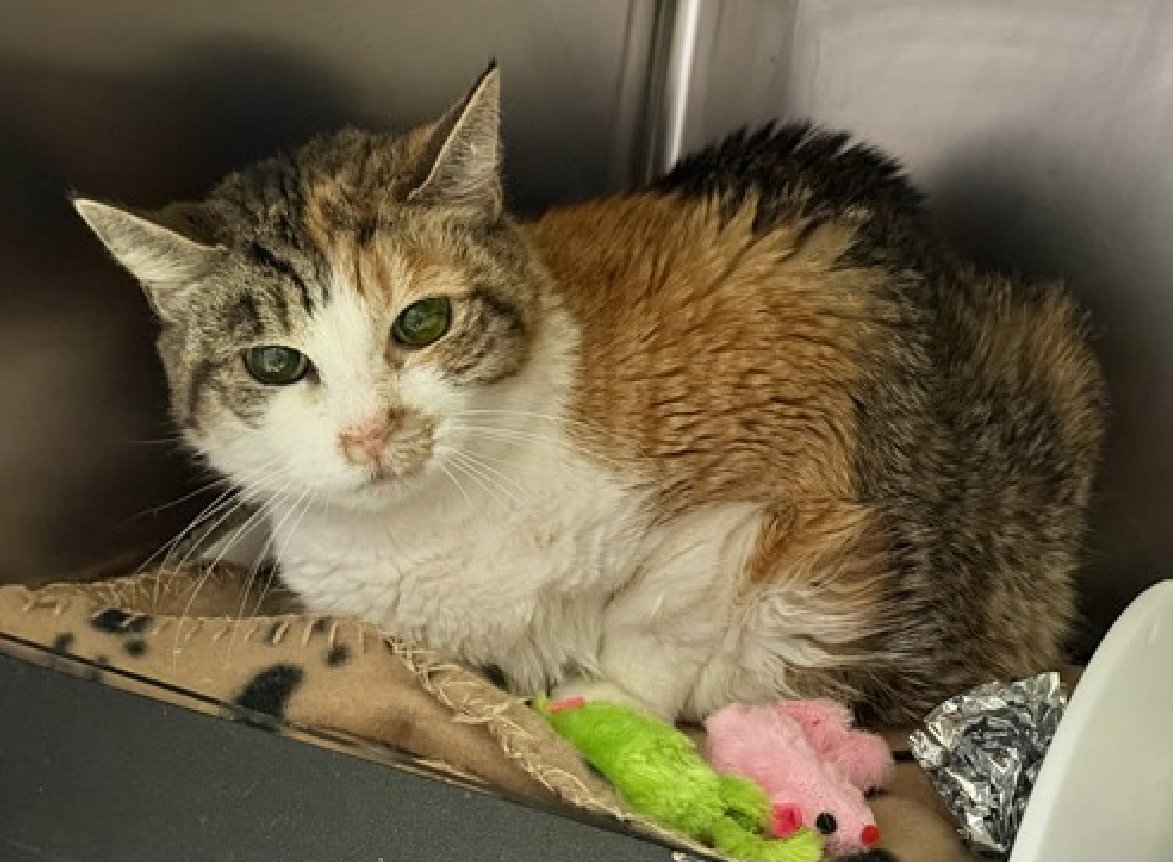 Jack5928 tweet media