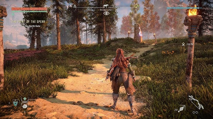 Cal 🏆 tweet media