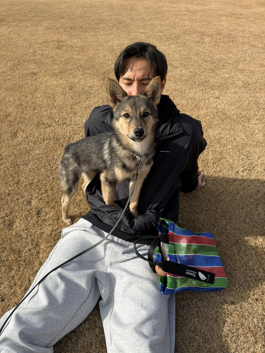 髙橋藍スタッフ tweet media