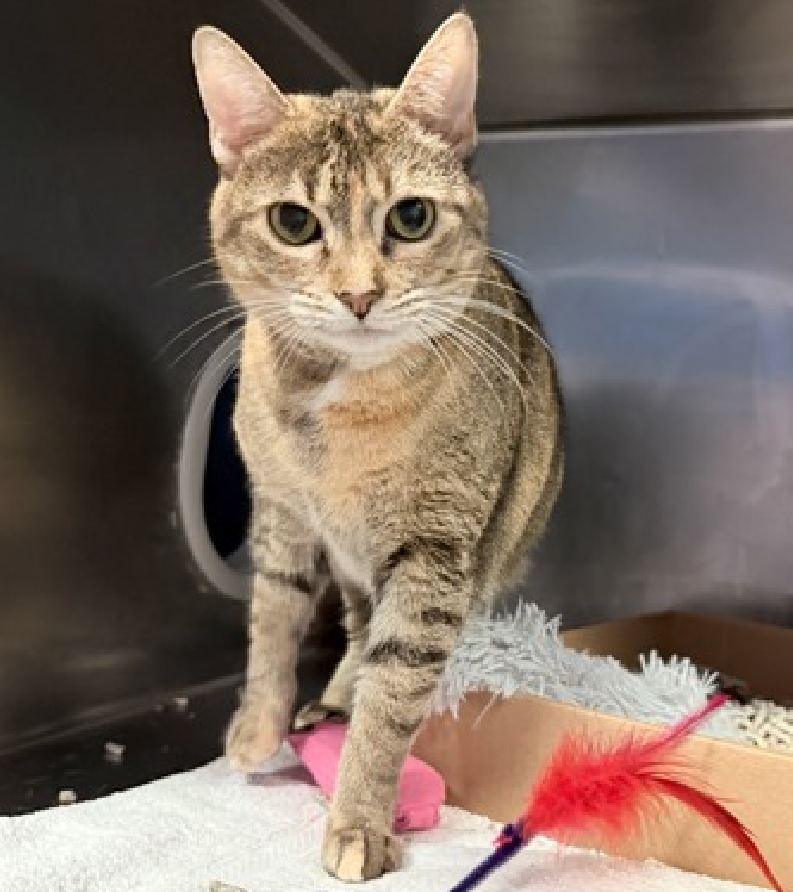 Jack5928 tweet media