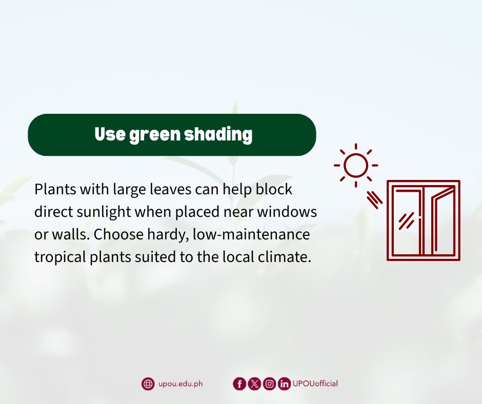 UP Open University tweet media