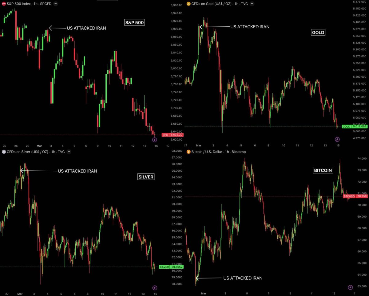 BitcoinBiene M. tweet media