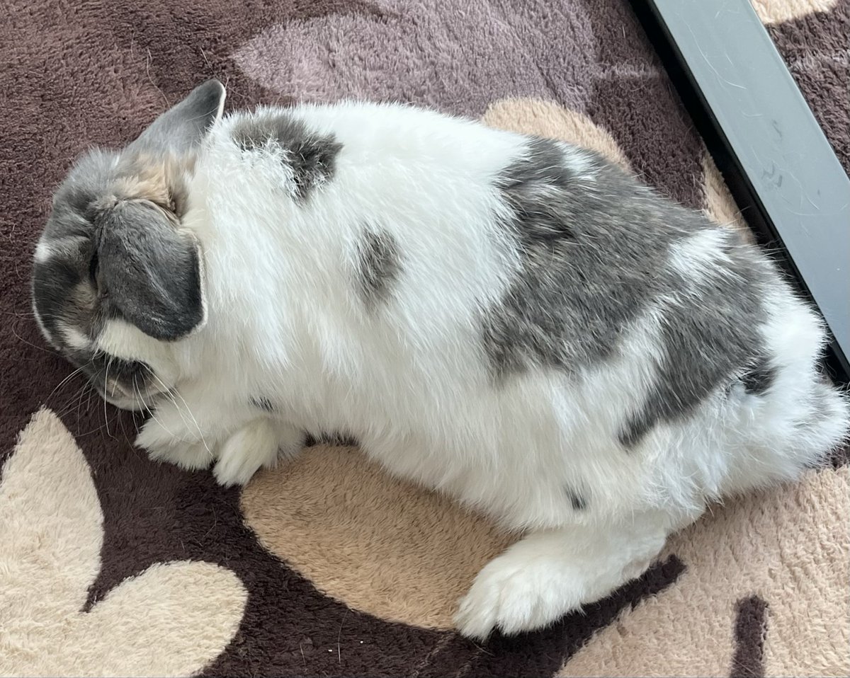 𝕙𝕚𝕟𝕒𝕥𝕒 tweet media