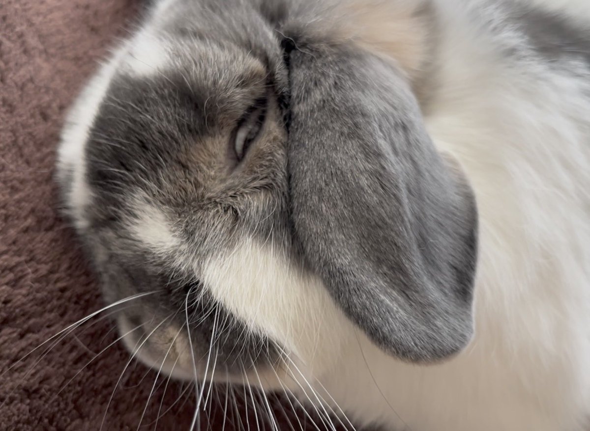 𝕙𝕚𝕟𝕒𝕥𝕒 tweet media