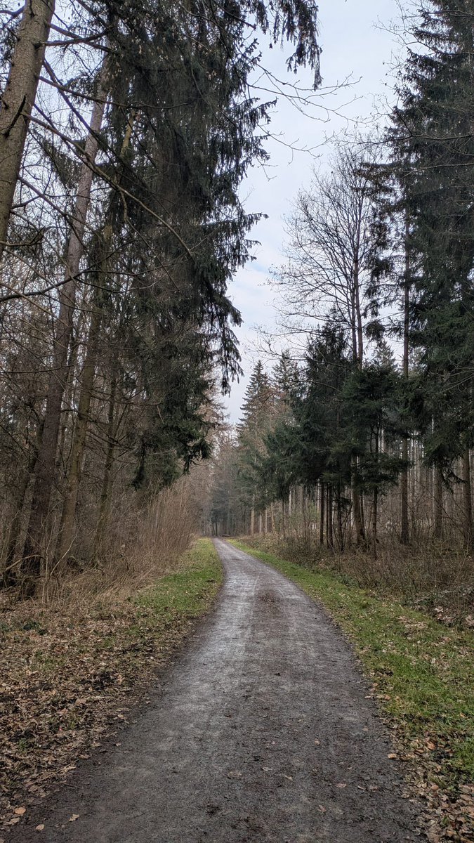 jonas.xrd tweet media