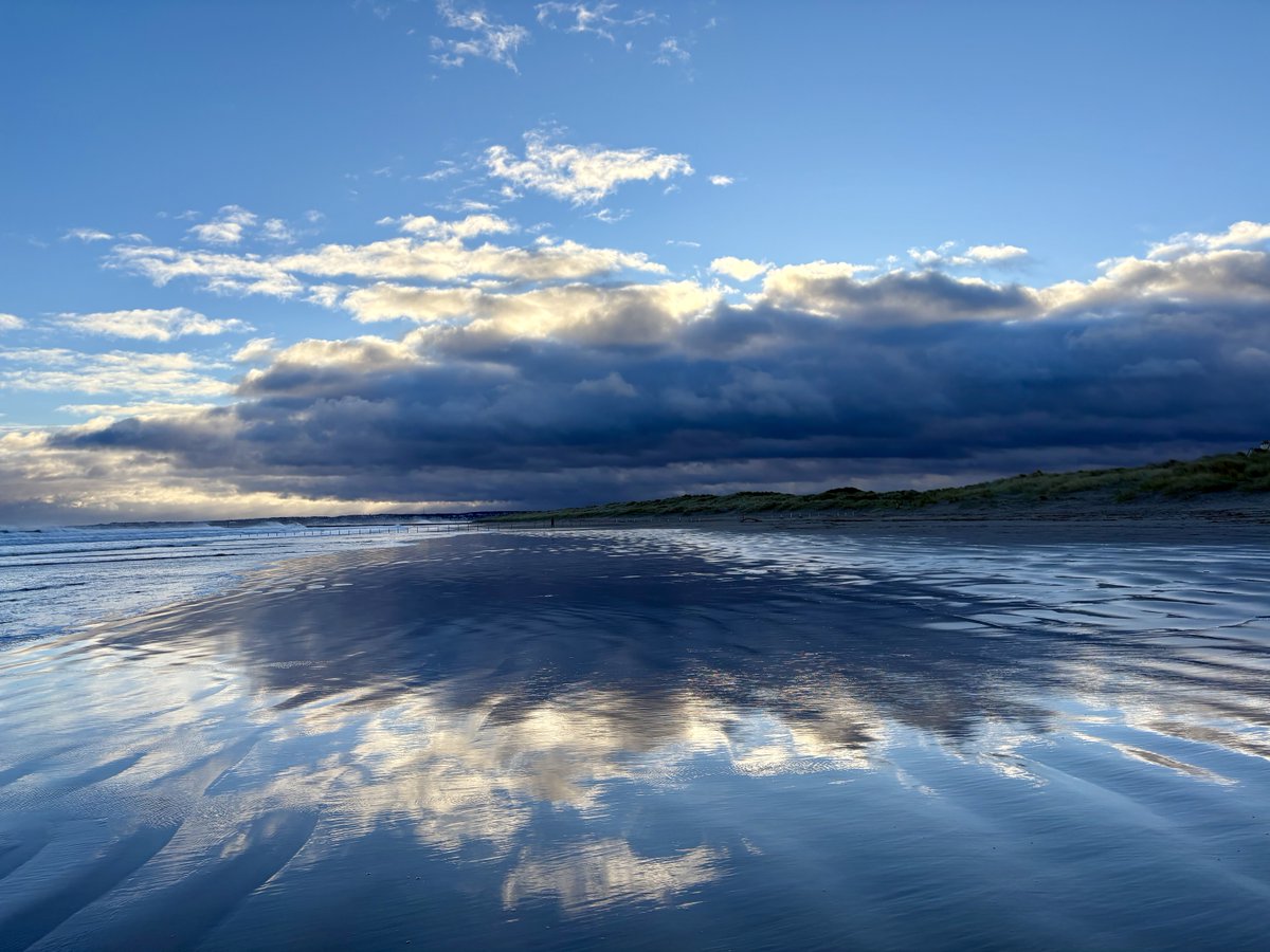 EllieKate tweet media