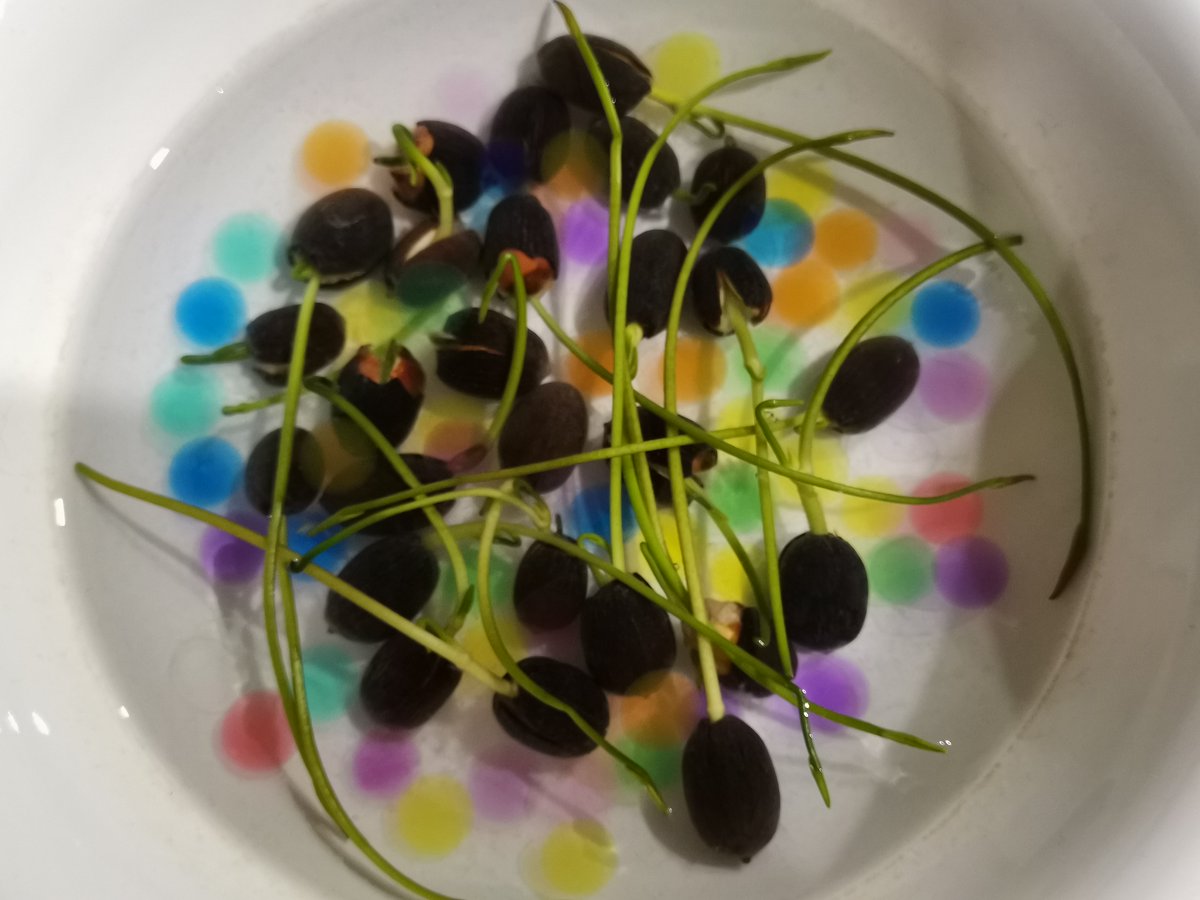 Andrew Kretz tweet media