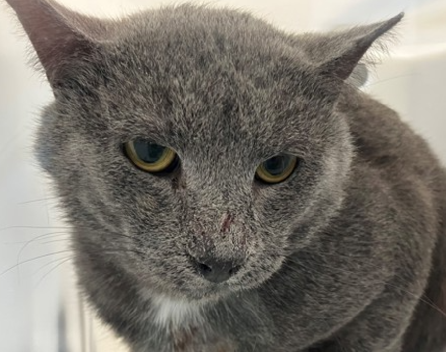 Jack5928 tweet media