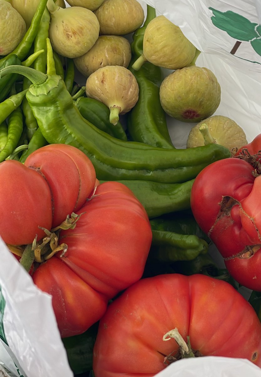 Orozismo Nab/varrismez tweet media