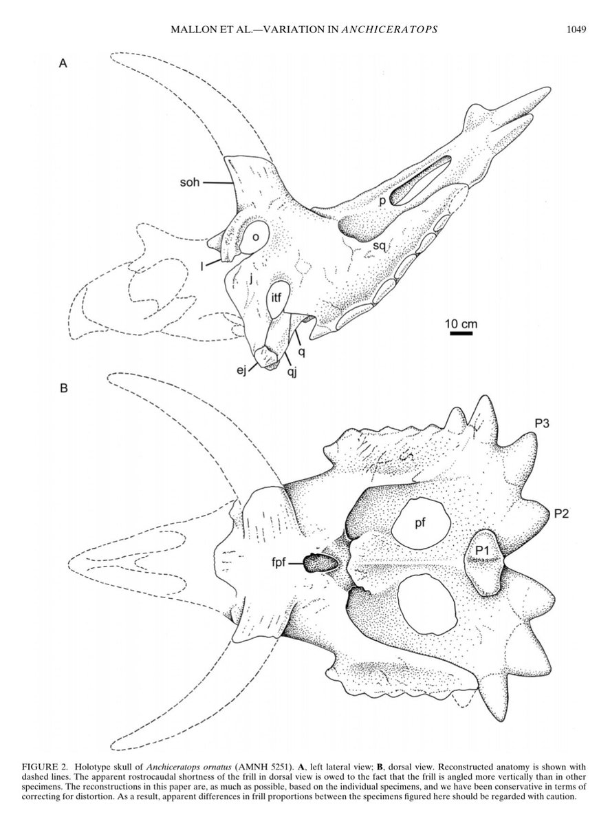 Dani Barrera Guevara tweet media