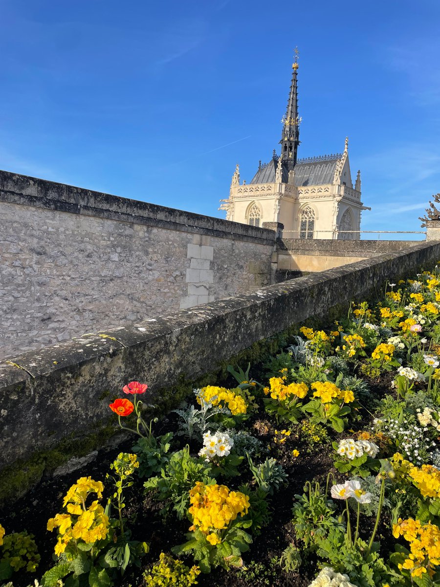 Château Royal d'Amboise tweet media