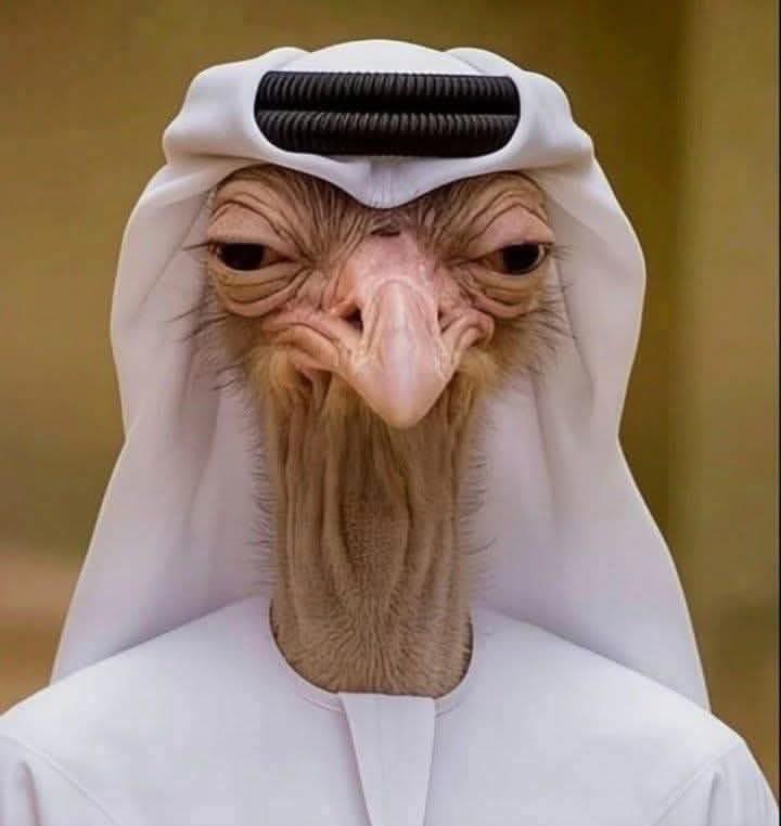fareh_official's tweet photo. @Abdulla_ElKaabi 🤣🤣 https://t.co/3dDR2KAyEW