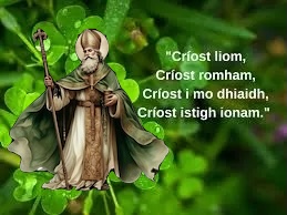 Eoin Ó Riain tweet media