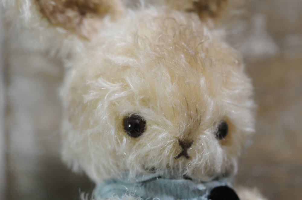 Junie Moon代官山店さん(<a href="/juniemoon_jpn/">Junie Moon代官山店</a>)の『TOY BOX in Luv-able&amp;Hug-able展』
明日18日(水)より店頭販売とStayHomeショッピングがスタートします✨

こちらのウサギがおうち探しをしておりますので、どうぞよろしくお願いいたします🐰❤️

daikanyama.juniemoon-shop.com/?eid=4648#gsc.…