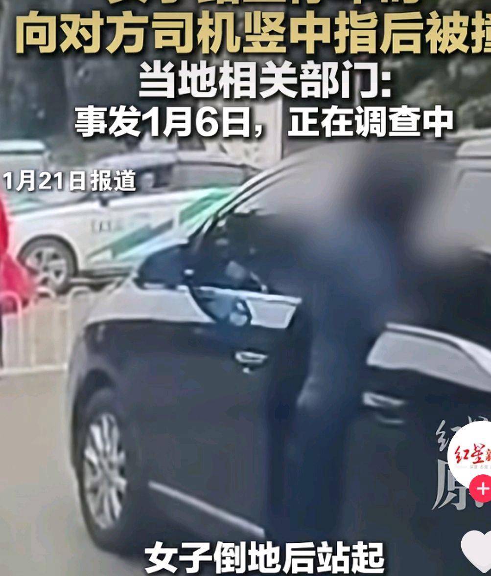 No Regrets Trading Advisor tweet media