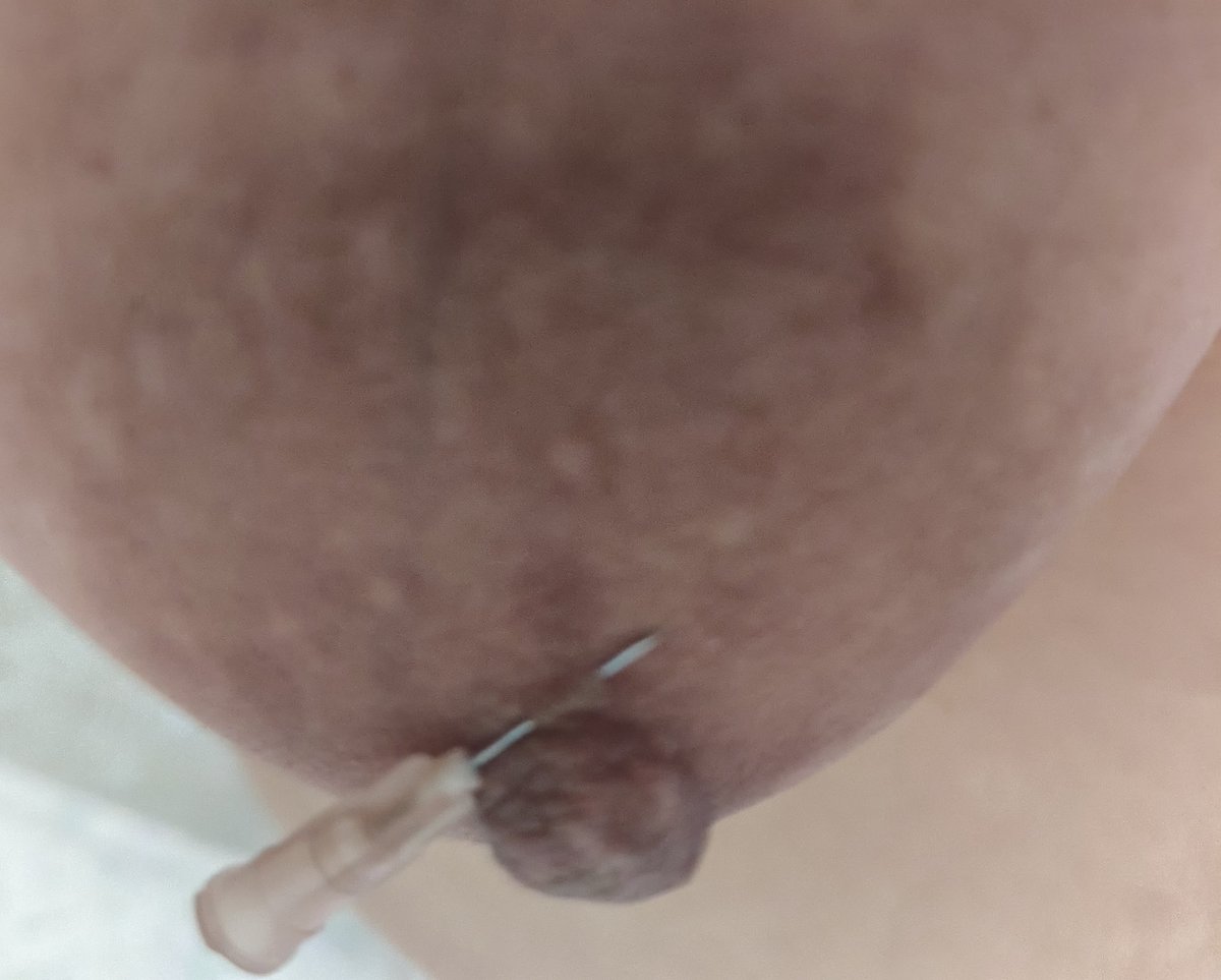 烂母猪 tweet media