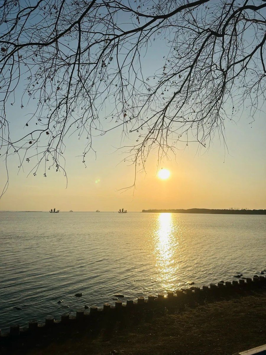 SAM-kent.quade tweet media