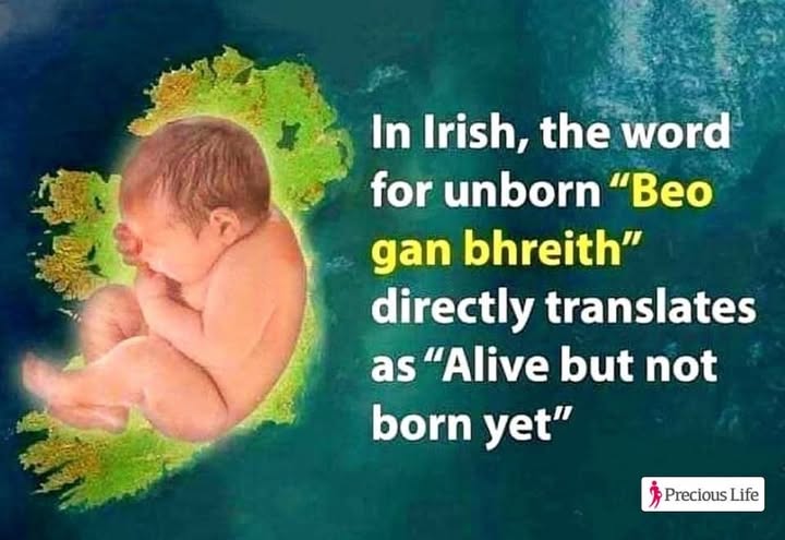 Precious Life tweet media