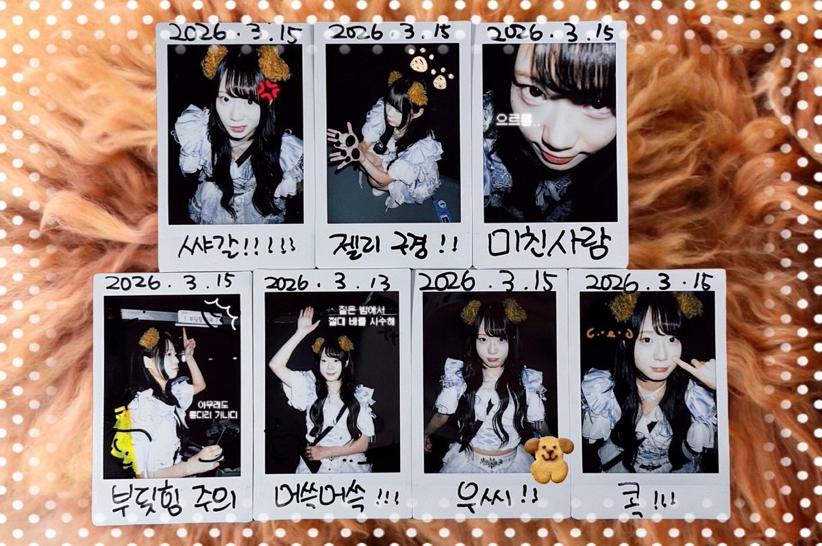 (•̅灬•̅ )🫧 tweet media