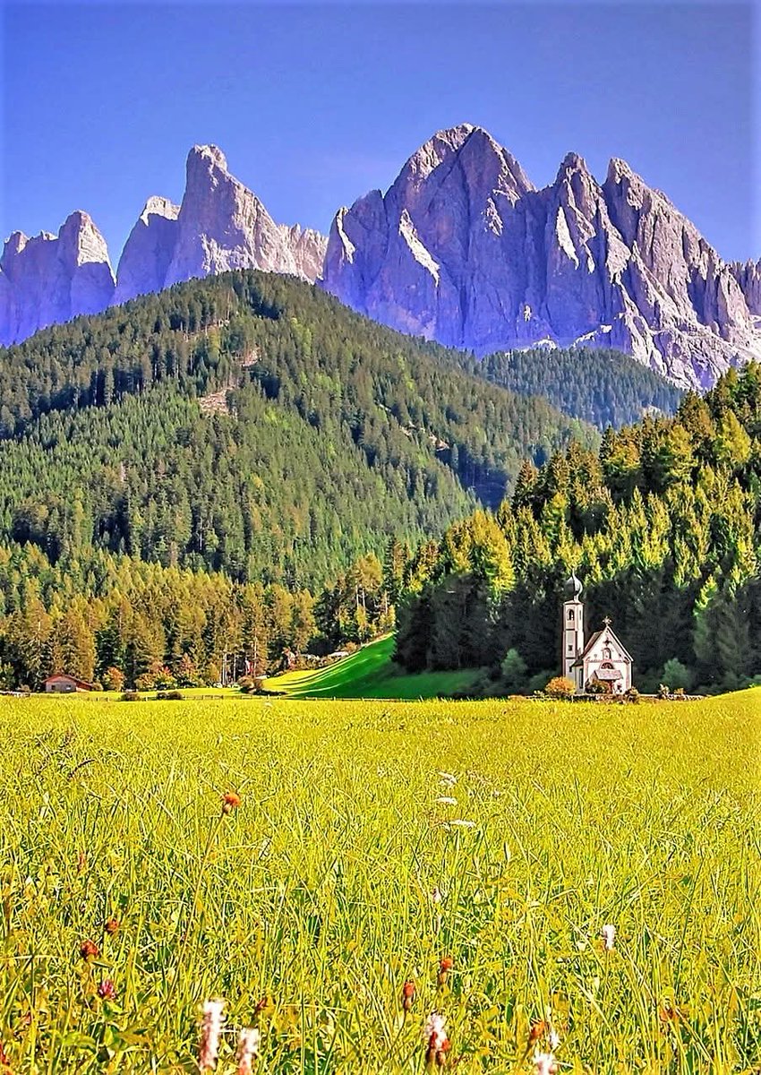 Mittelfranke tweet media