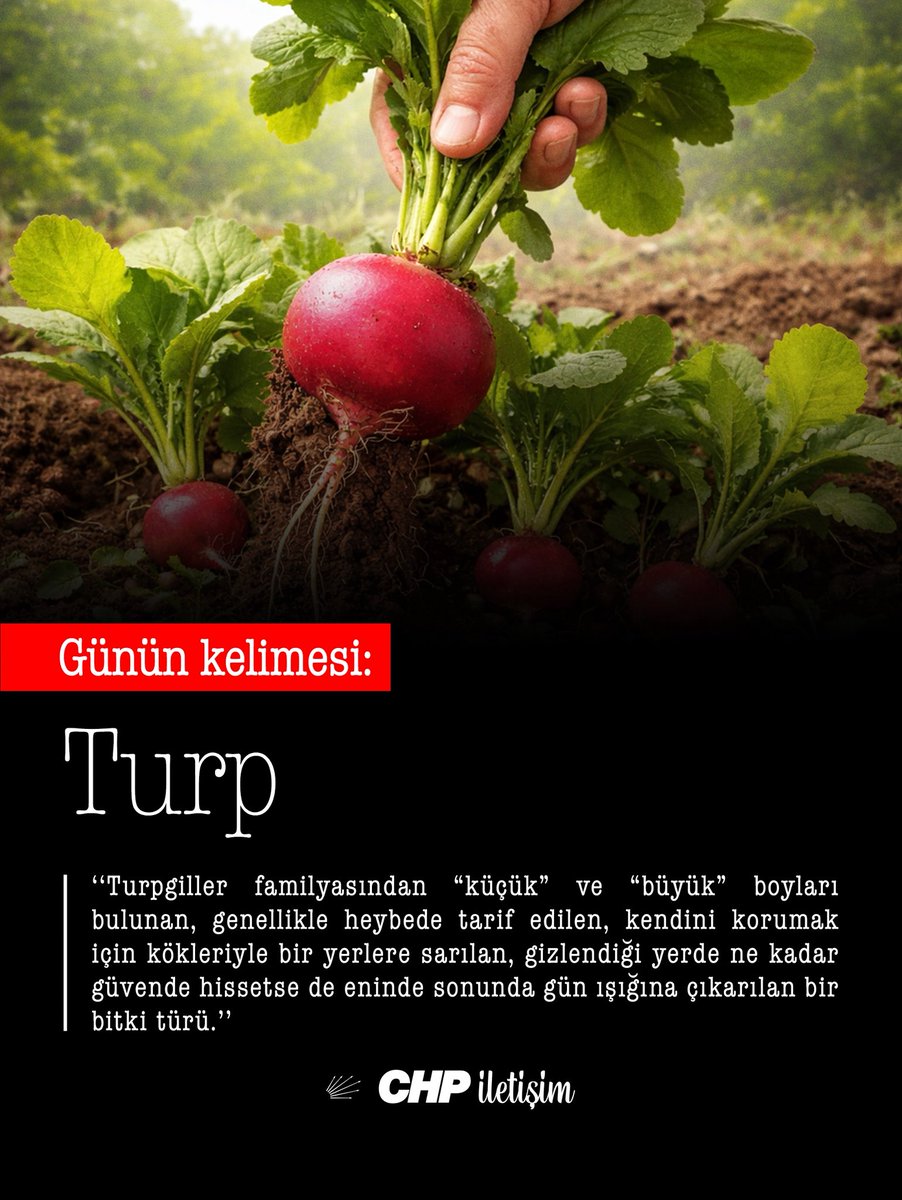 CHP İletişim tweet media