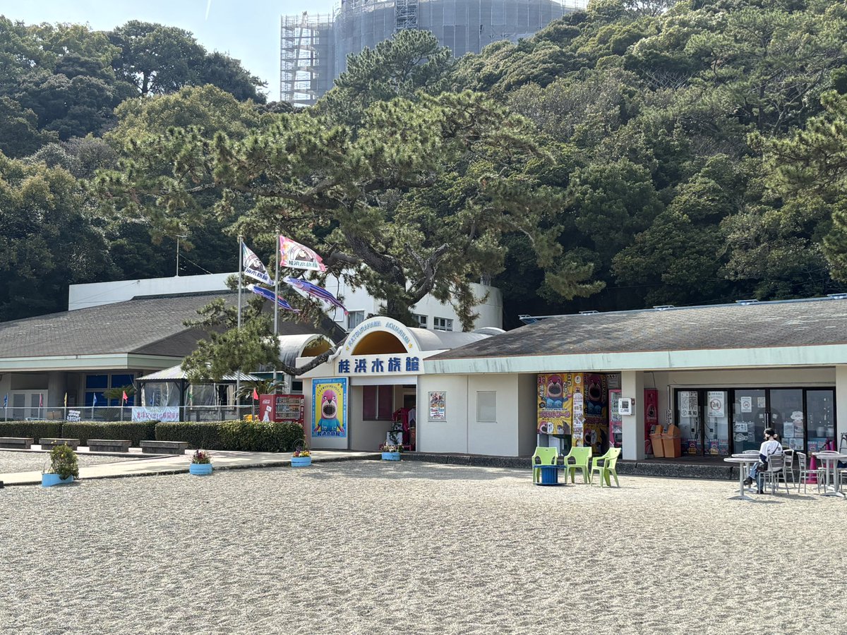 AjitamaP's tweet photo. 今日はむろと廃校水族館と桂浜水族館へ https://t.co/wJ9PuwvskY